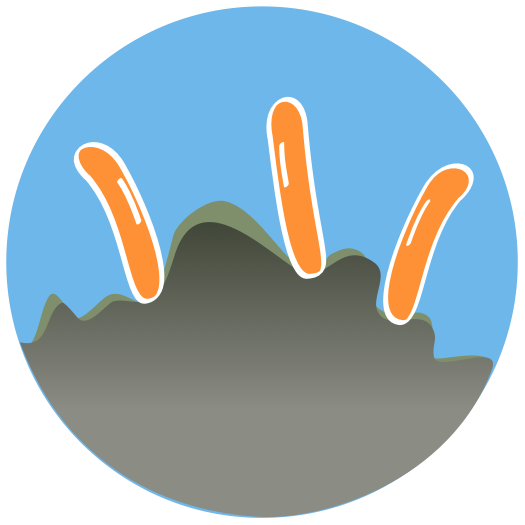 6. Bioremediation
